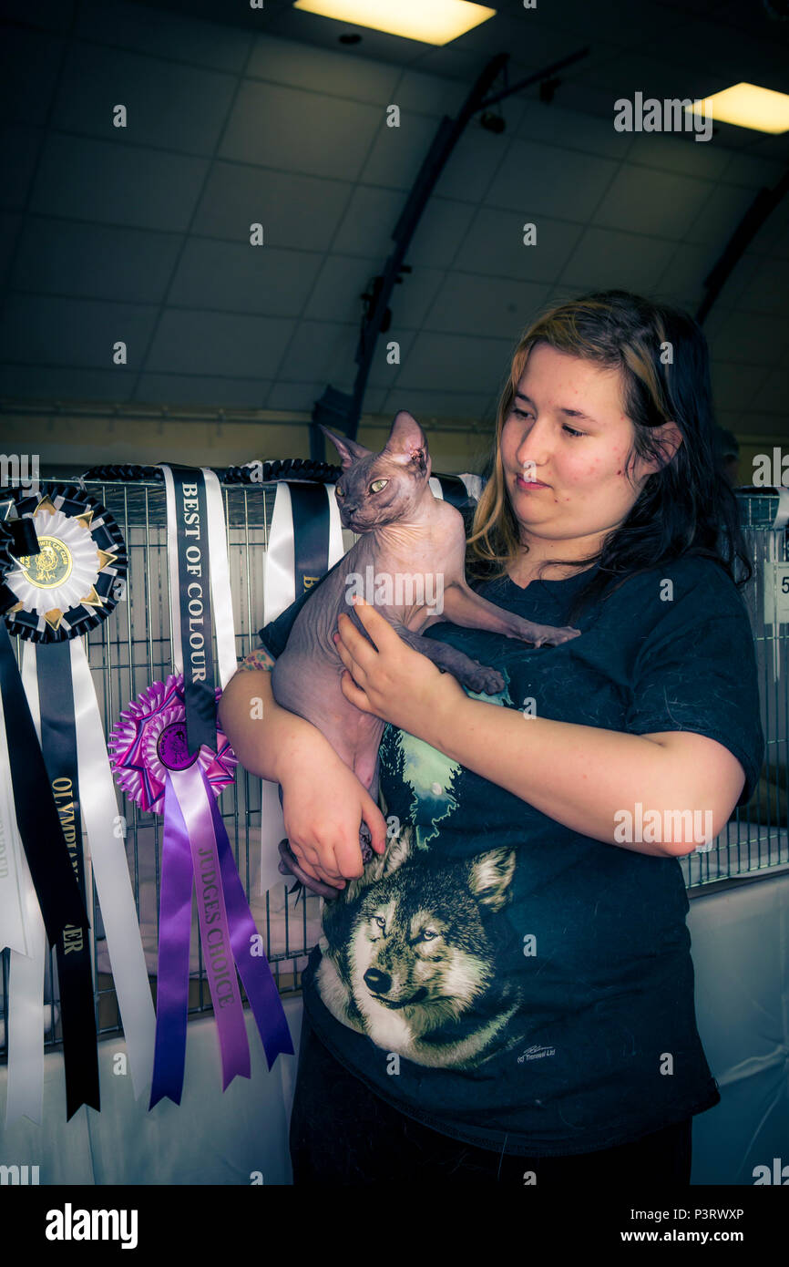 Un spectacle de chats dans une salle de village locale avec des propriétaires et des chats certains dans des cages certains étant tenus ou assis sur des chaises. Banque D'Images