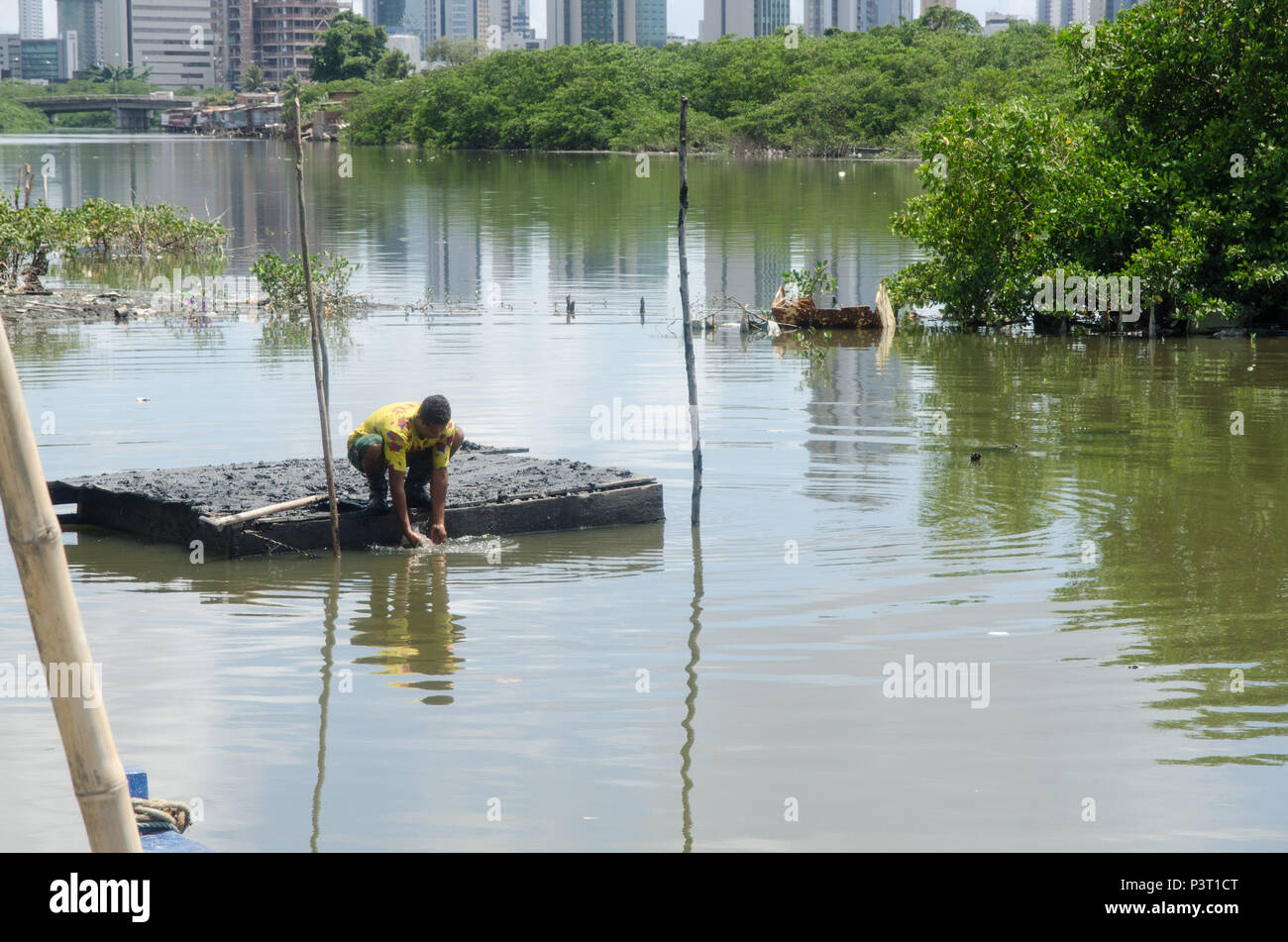 RECIFE, PE - 20.10.2015 : FAVELA NE BUEIRO PAS de Recife - Morador de comunidade ribeirinha, na favela n'Bueiro, pas de Recife (PE). (Foto : Diego Herculano / Fotoarena) Banque D'Images