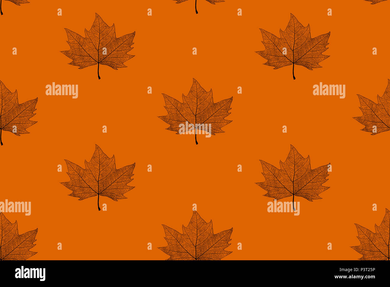 Modèle avec feuille d'érable sur un fond orange. Patch feuille d'érable. Banque D'Images