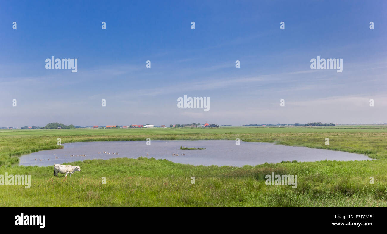 Petit lac dans le paysage de l'île de Texel, Hollande Banque D'Images