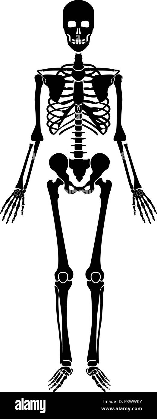 Squelette humain icon noir vecteur de couleur I télévision image simple style Illustration de Vecteur