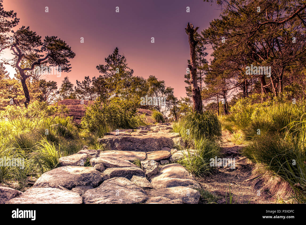 Coucher du soleil observé de Hill Top Preikestolen Banque D'Images