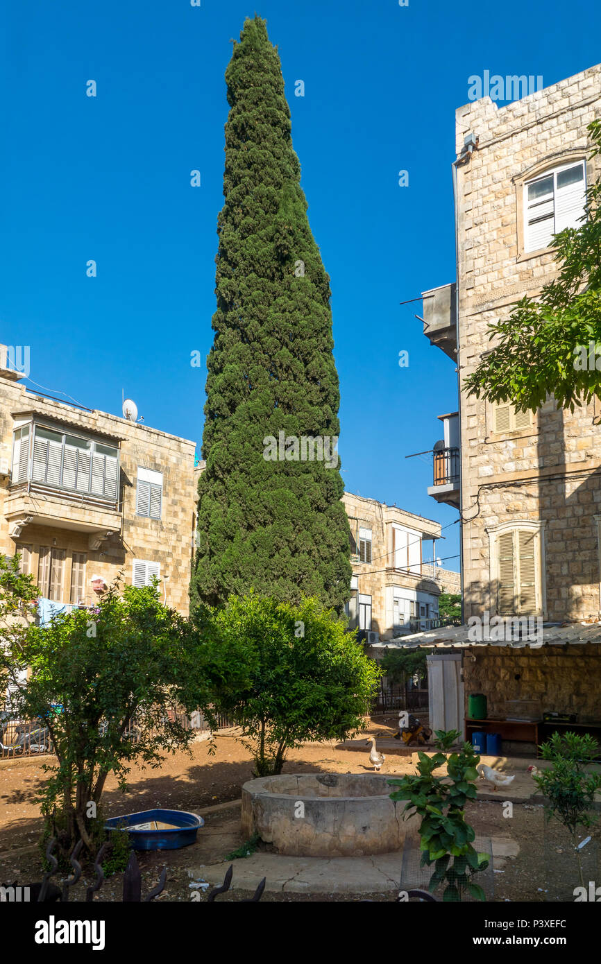 Jardin d'un vieux bâtiments avec des canards, dans quartier Hadar HaCarmel, Haïfa, Israël Banque D'Images
