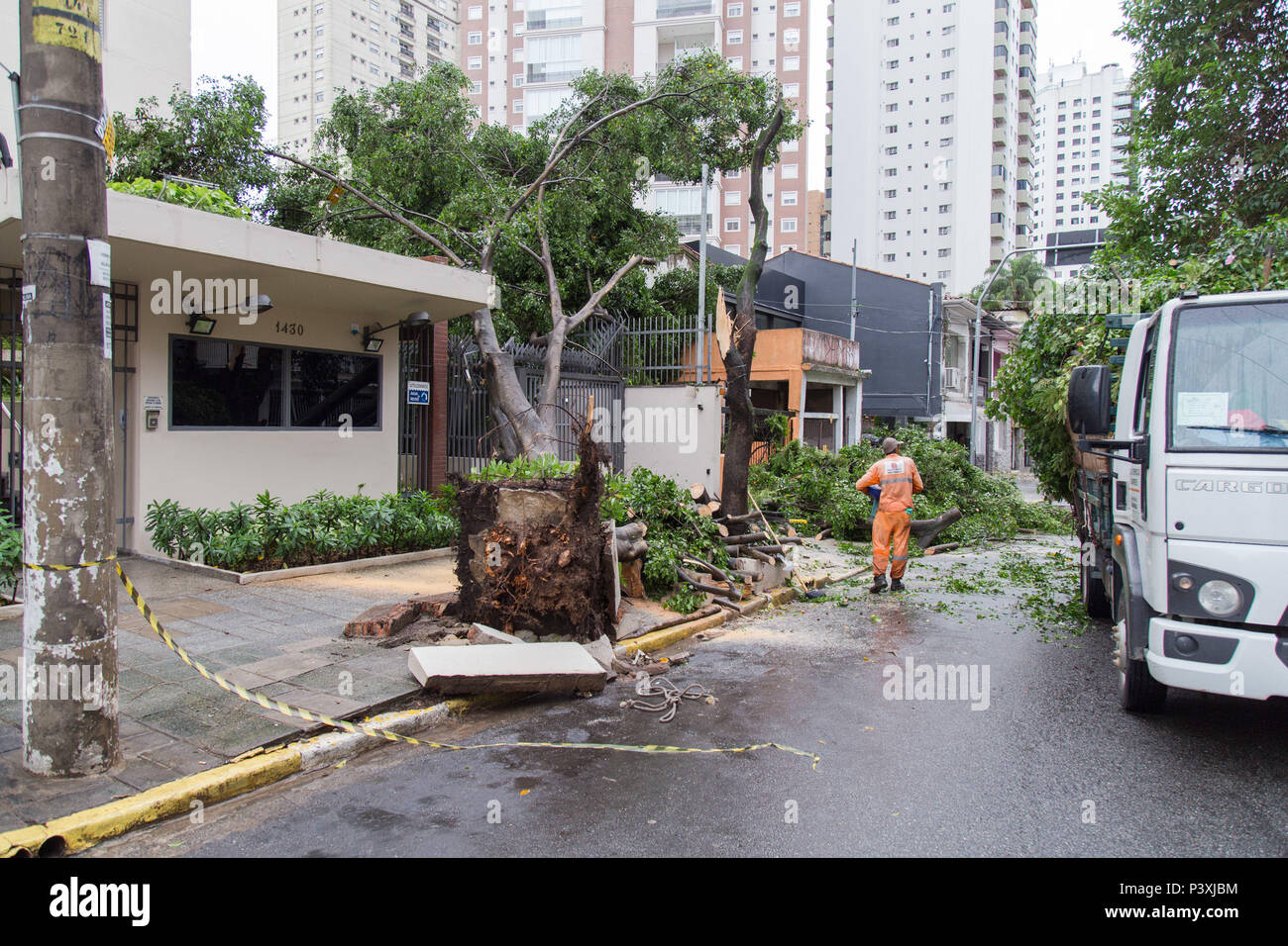 Karimaxi forte derruba árvore na Rua Bartira em Perdizes. Banque D'Images