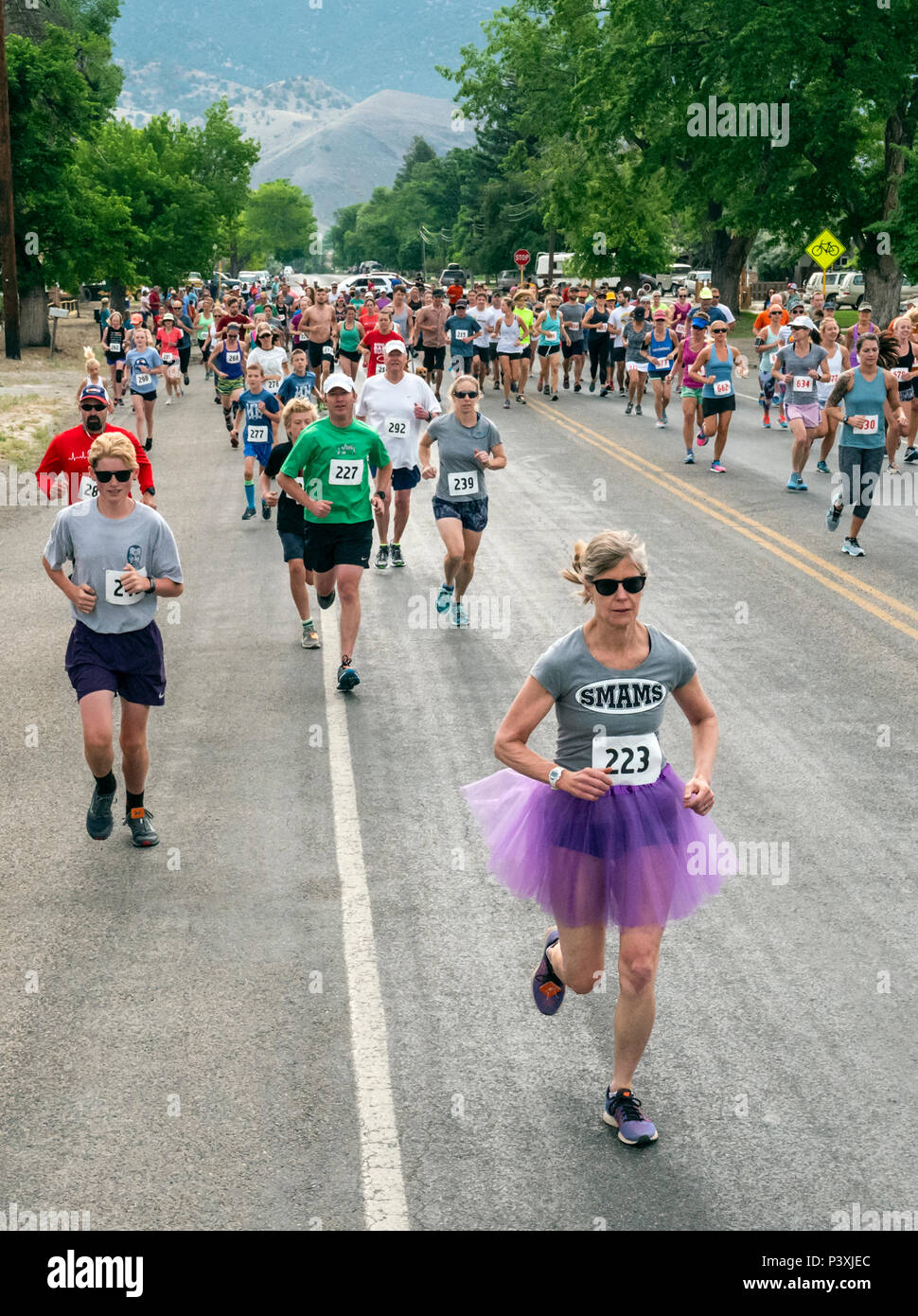 Les coureurs de 5K et 10K Course à pied ; Fibark ; festival annuel Salida Colorado ; USA ; Banque D'Images