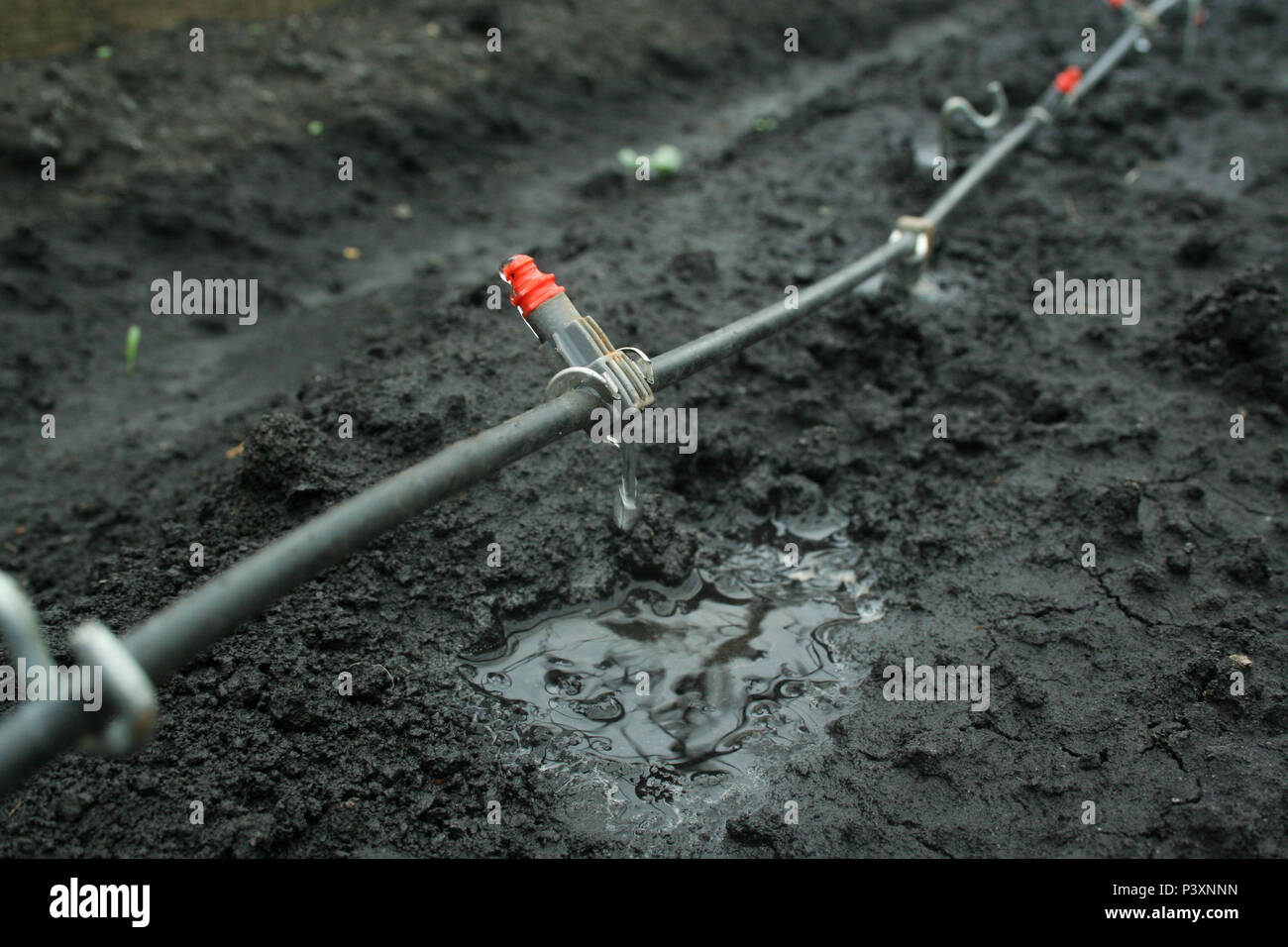 Système d'irrigation de près. Système d'égouttage Banque D'Images