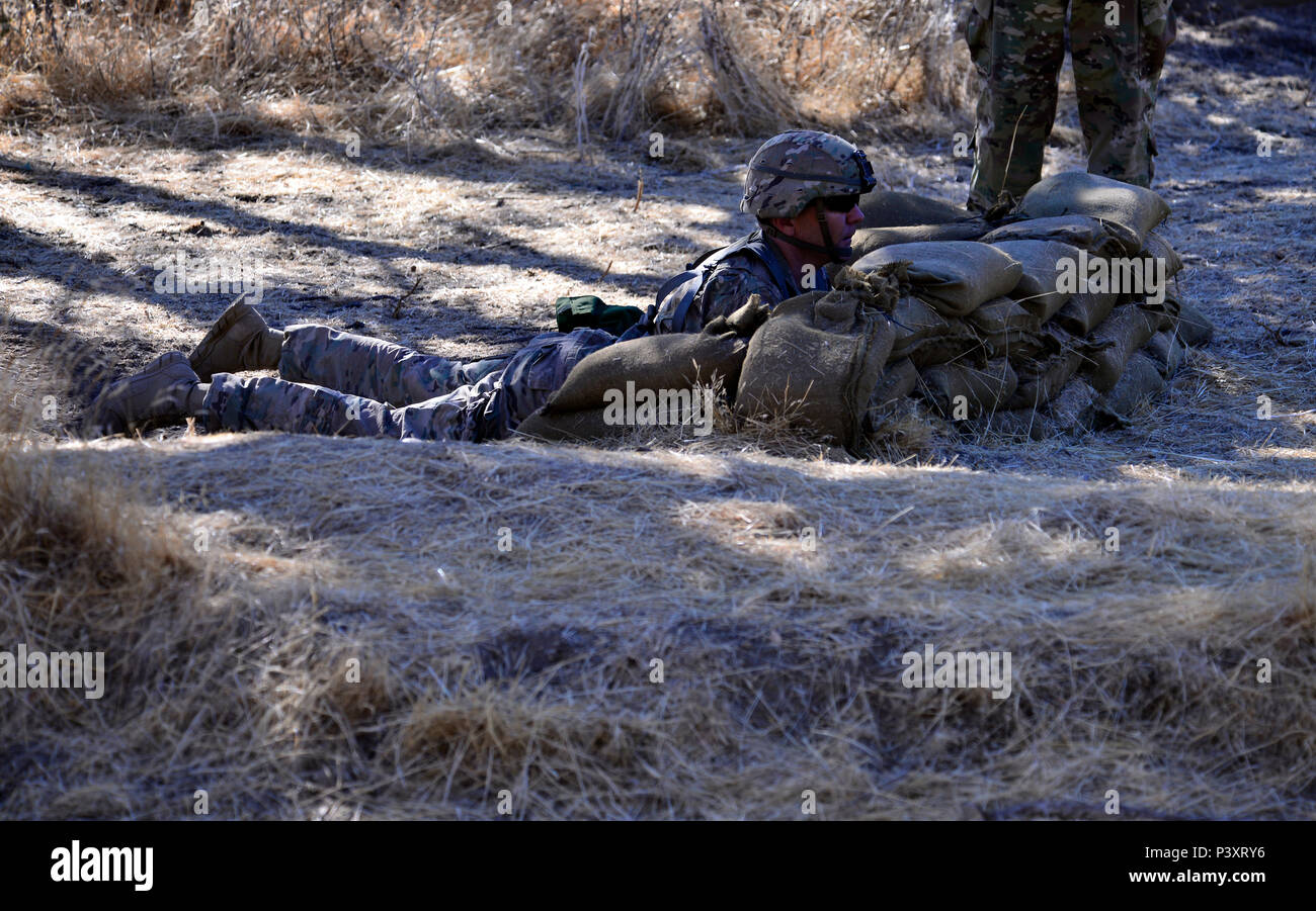 Le Major de la Garde nationale de l'Armée de l'Oregon Matthieu Carpenter avec 2e bataillon du 162e Régiment d'infanterie, 41ème Infantry Brigade Combat Team, vérifie sa cible avant de lancer une grenade au cours de l'une des voies, des patrouilles dans le cadre de l'expert de l'insigne de la brigade d'infanterie (BEI), l'événement le 20 juillet au Camp Roberts, Californie sur plus de 100 candidats de la BEI qui a débuté l'événement, six seulement complété avec succès toutes les tâches et ont reçu le badge convoité. (Photo : Capt Leslie Reed, 41ème Infantry Brigade Combat Team) Affaires publiques Banque D'Images