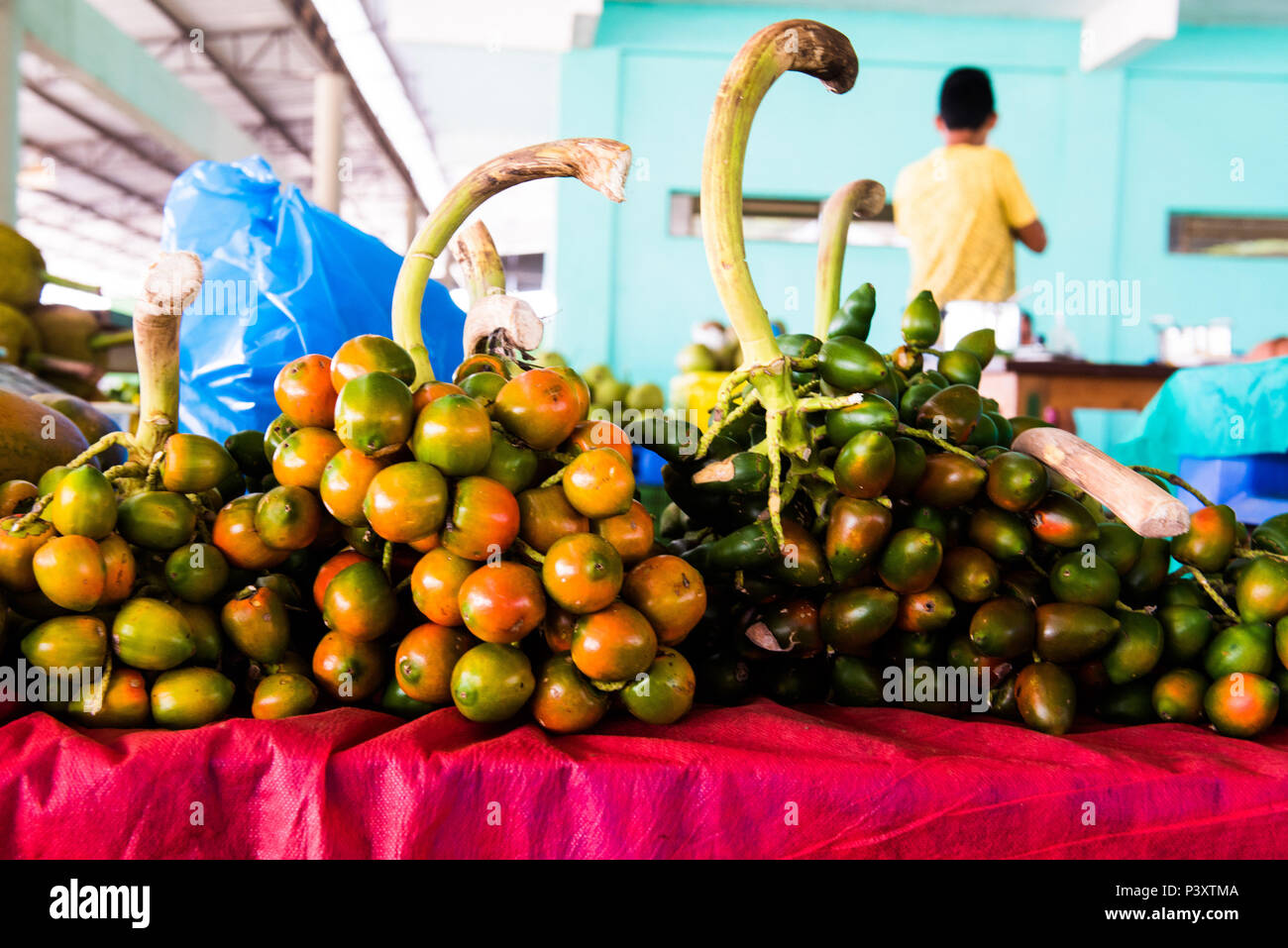 Présente, et présente-vert-amarela, Bactris gasipaes, fruta da régionale regi'o amazônica, durante feira de produtos em Iranduba tam/AM. Banque D'Images