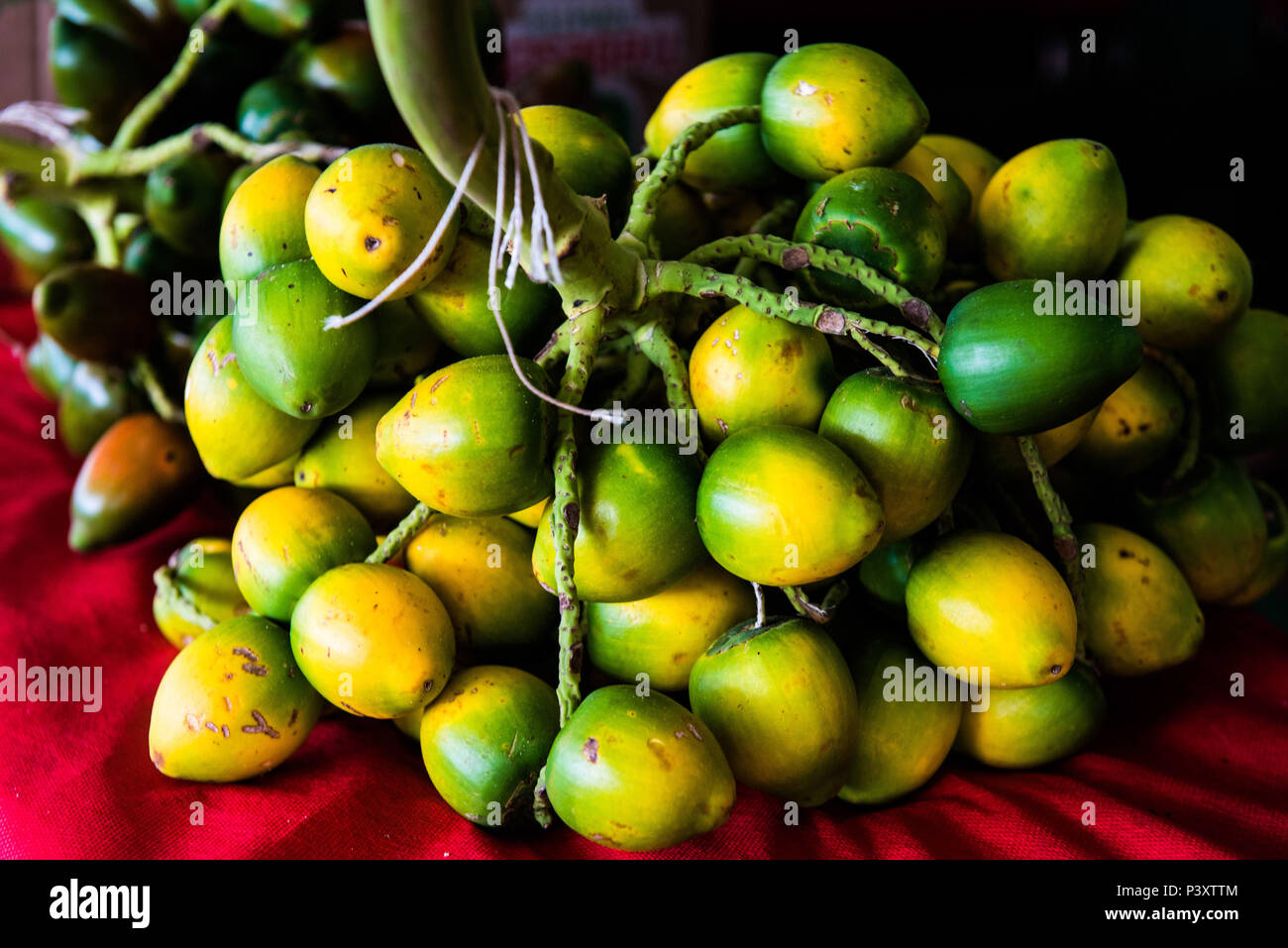 Présente, et présente-vert-amarela, Bactris gasipaes, fruta da Região régional amazônica, durante feira de produtos em Iranduba tam/AM. Banque D'Images