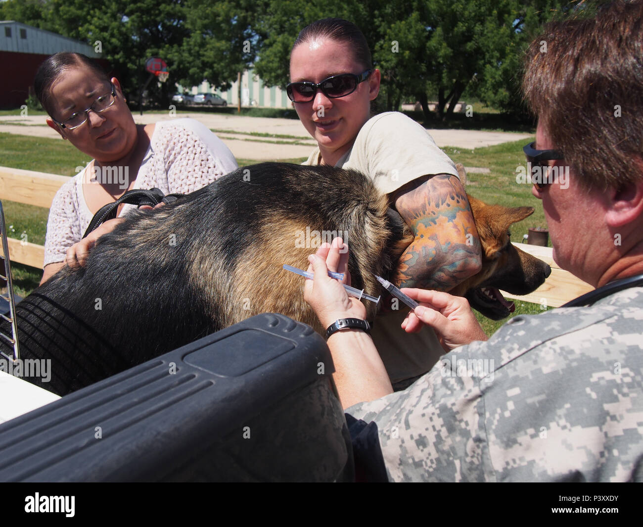 Spécialiste des soins aux animaux, le Sgt. Le 7357th Macila Arnold avec détachement et le lieutenant-colonel vétérinaire Julie Koupal, un vétérinaire, de la 7355th Détachement vétérinaires effectuer un examen physique et des vaccinations dans le cadre de l'opération Bouclier marche à la réserve indienne de Fort Belknap Agency, Fort Belknap au Montana, le 26 juillet 2016. L'Opération bouclier de marche est un exercice annuel qui fait partie de la préparation du programme de formation novateur il travaille à établir des relations entre les communautés locales et les unités du Ministère de la Défense. L'IRT programme offre principalement un service médical et construction exp Banque D'Images