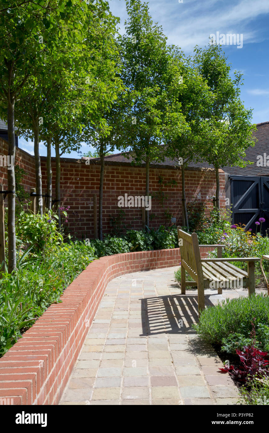 Patio vue le long chemin avec Pyrus calleryana 'Chanticleer' blindage contre les maisons donnant sur Banque D'Images