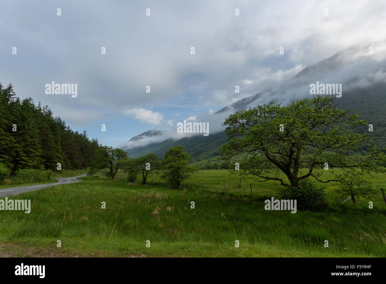 Glen Nevis, Fort William, les Highlands, Ecosse, Royaume-Uni Banque D'Images