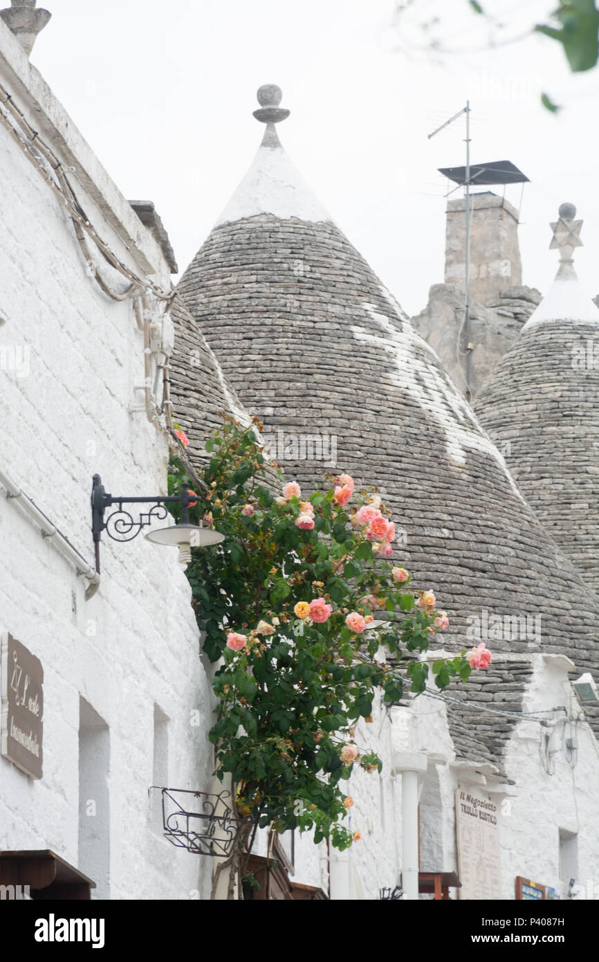 La petite ville unique Sud Italia Alberobello avec pierres antient maisons coniques trullo, destination touristique, région des Pouilles près de Bari Banque D'Images