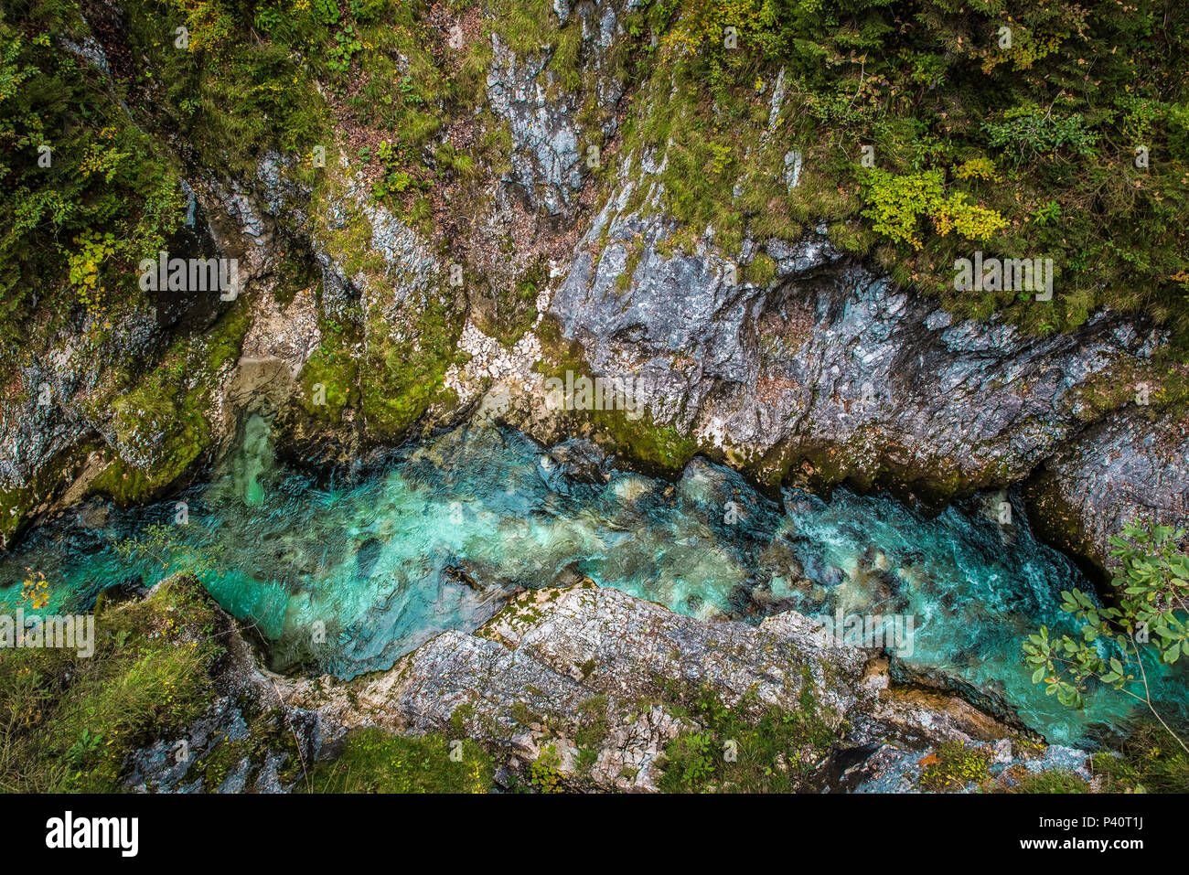 Leutaschklamm - gorge sauvage avec rivière dans les Alpes de l'Allemagne Banque D'Images