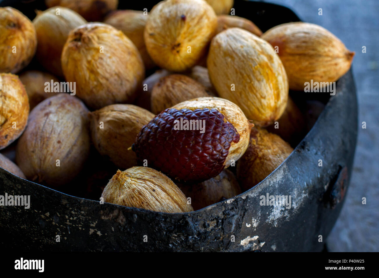 Uarini - suis buriti miriti Mauritia flexuosa rico em vitamina C alimento energético fruta artesanada das folhas fibra de buriti sucos e sorvetes de buriti nourriture/alimentation gastronomia Flora Natureza Uarini Amazonas Amazônia Banque D'Images