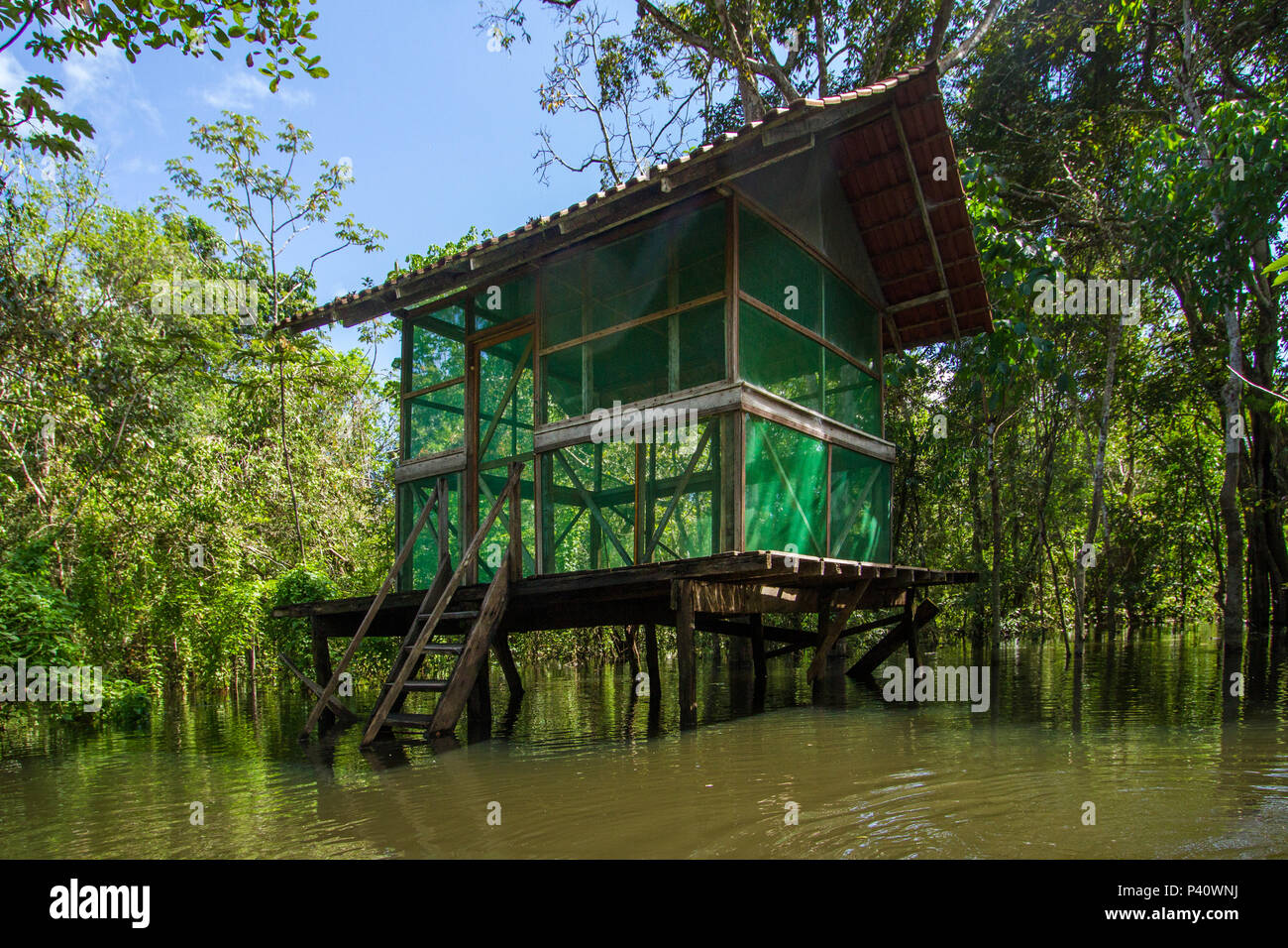 Uarini Amazonas fonte: c8.alamy.com