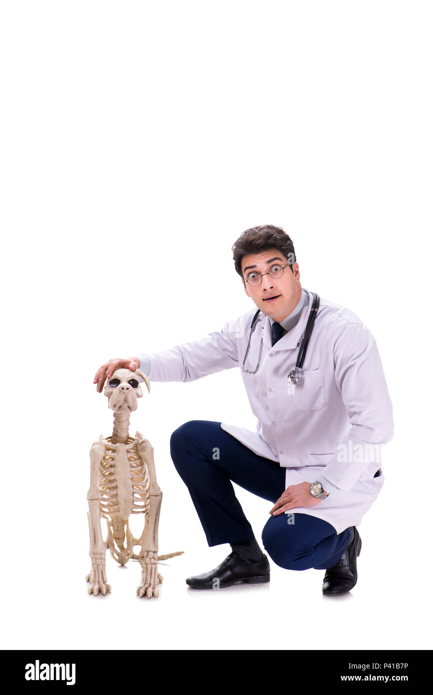 Médecin avec squelette chien isolé sur fond blanc Banque D'Images