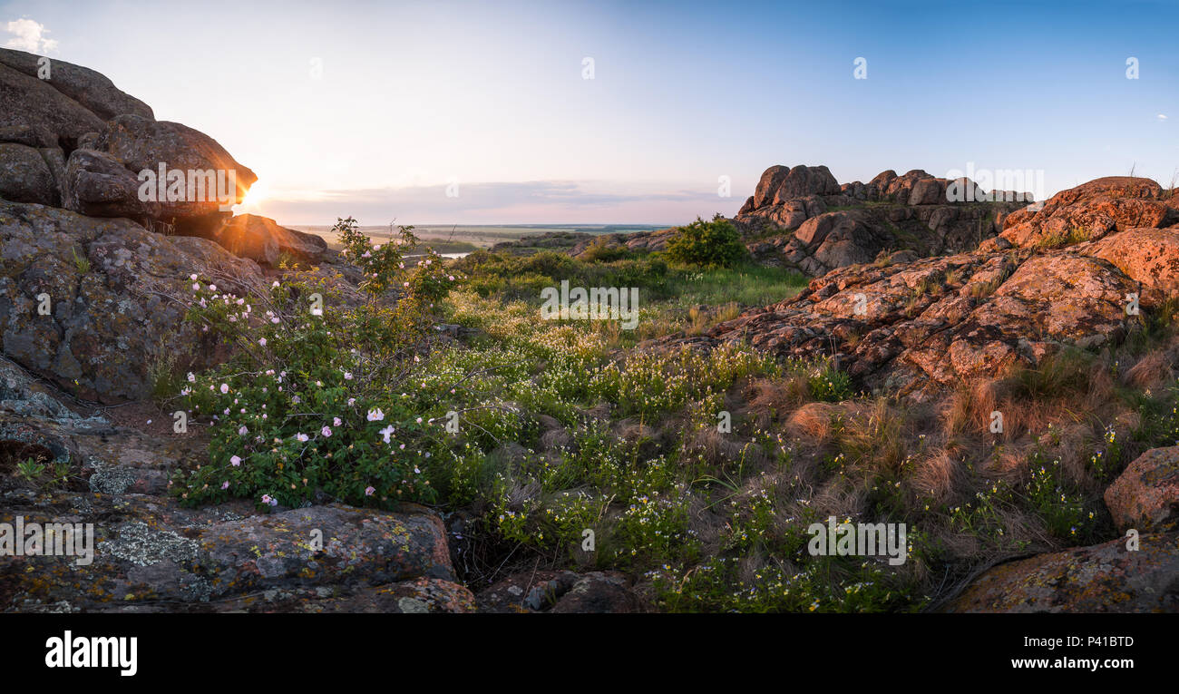 Paysage dans le lever du soleil avec vue sur les pierres de granite et de bush d'dogrose, panorama Banque D'Images