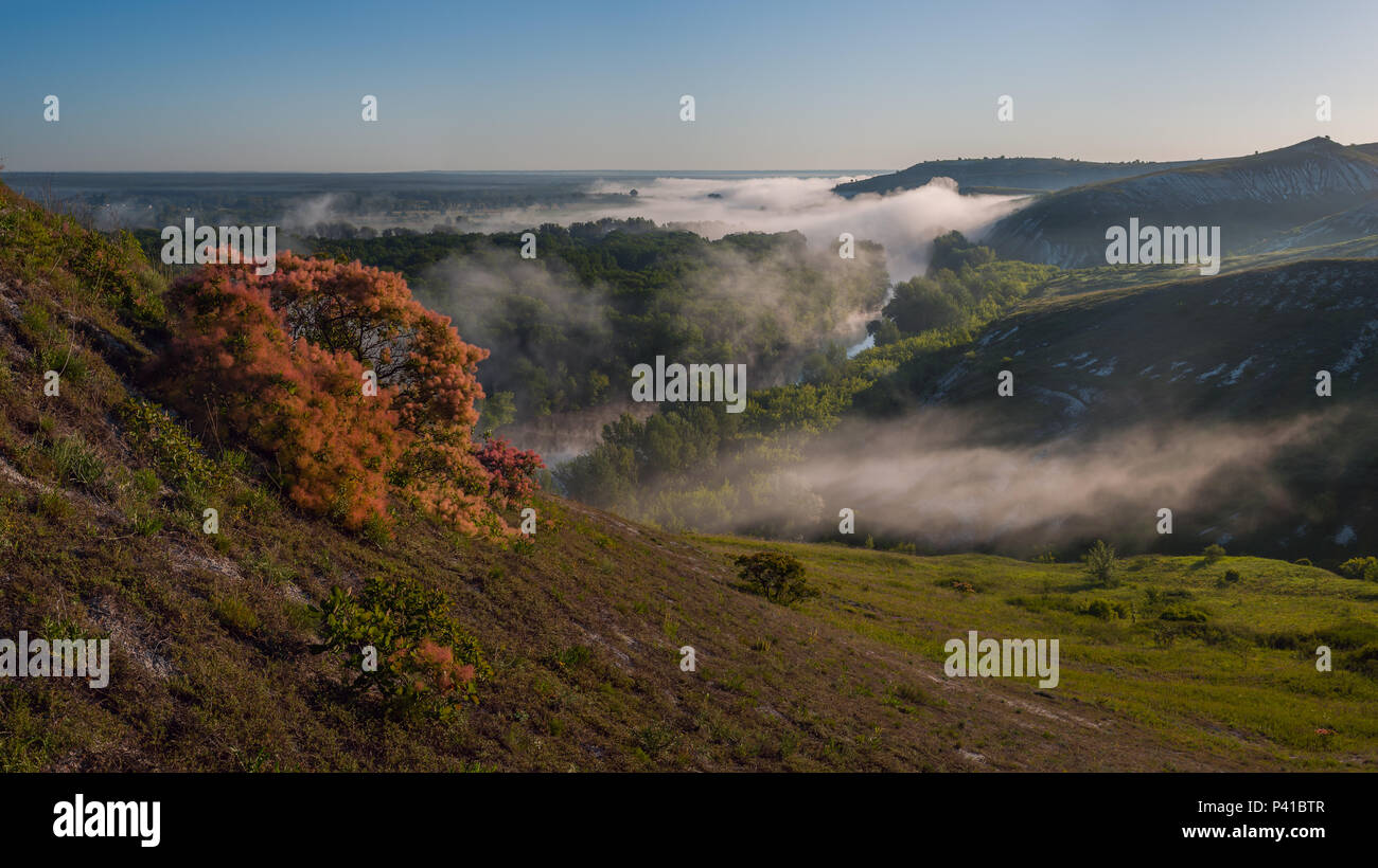 Lever du soleil sur les collines avec brouillard, beau paysage, panorama de l'été Banque D'Images