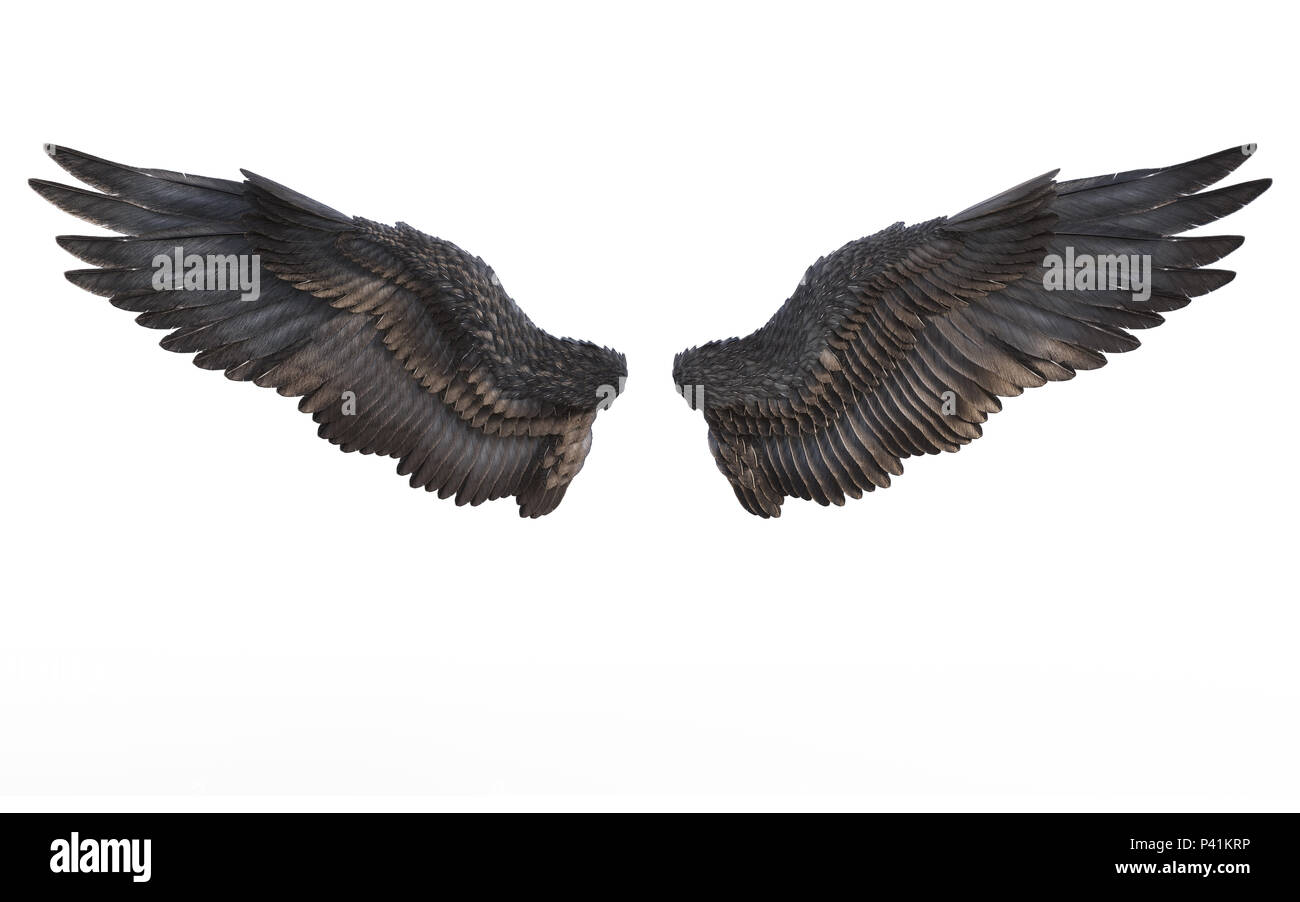Illustration 3d ailes démon noir, Plumage aile isolé sur fond blanc Banque D'Images