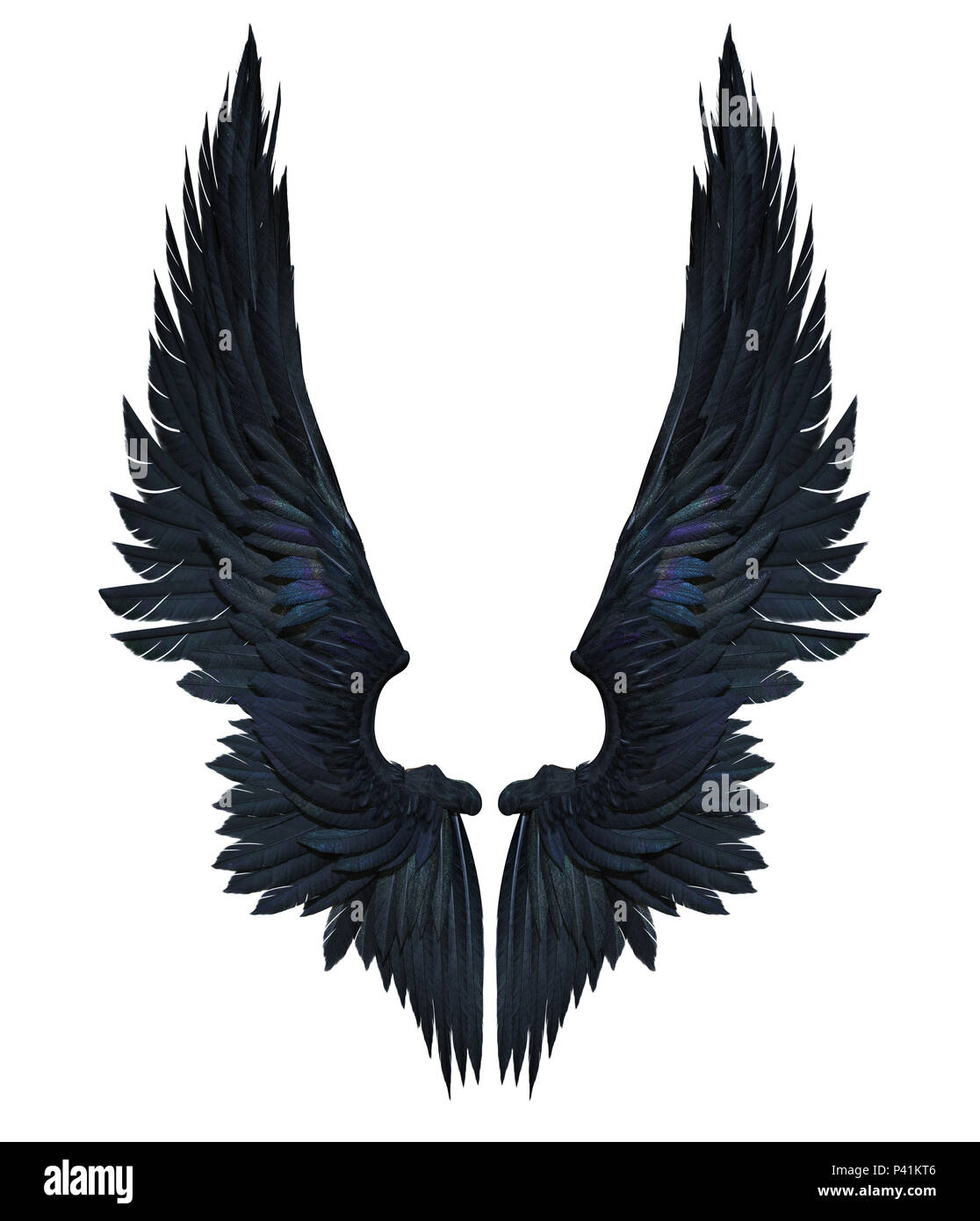 Ailes de démon noir plumage de l'aile, isolé sur fond blanc avec chemin de détourage. Banque D'Images