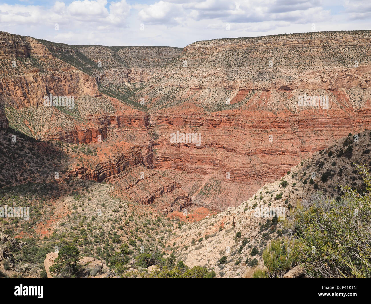 Vue depuis le sentier Hermit dans le Parc National du Grand Canyon, Arizona. Banque D'Images