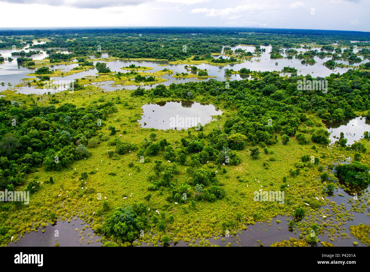 Aquidauana Mato Grosso do Sul fonte: c8.alamy.com