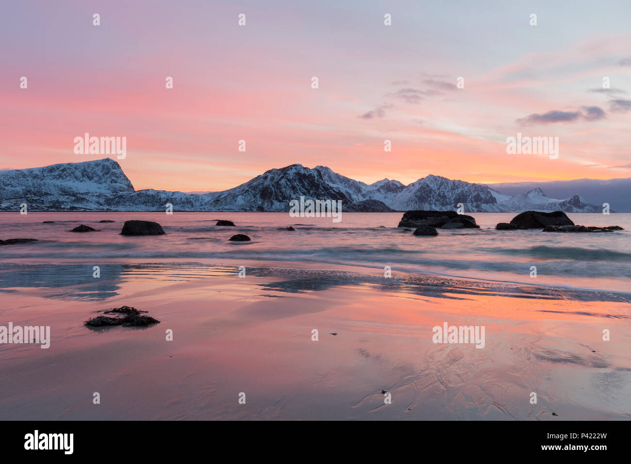 Coucher du soleil sur la plage de Haukland. Lofoten, Norvège. Montagnes de neige et de rochers dans la mer avec ciel orange. Banque D'Images