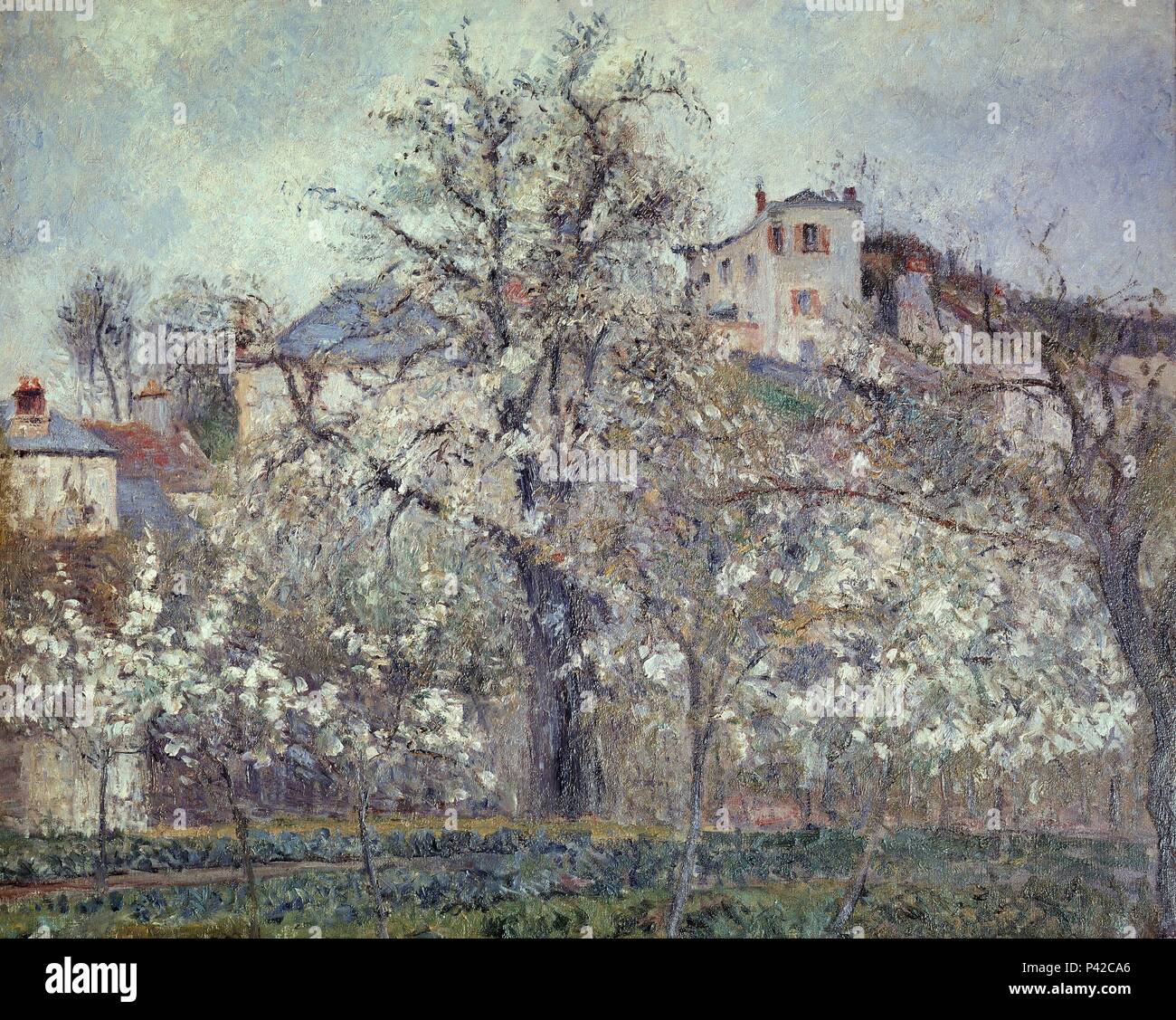 Le Potager avec des arbres en fleurs, printemps, Pontoise - 1877 - 65,5x81 cm - Huile sur toile. Auteur : Camille Pissarro (1830-1903). Lieu : MUSÉE DU LOUVRE-peintures, FRANCE. Aussi connu sous : PRIMAVERA EN PONTOISE, potager, arbres en fleurs, printemps. Banque D'Images