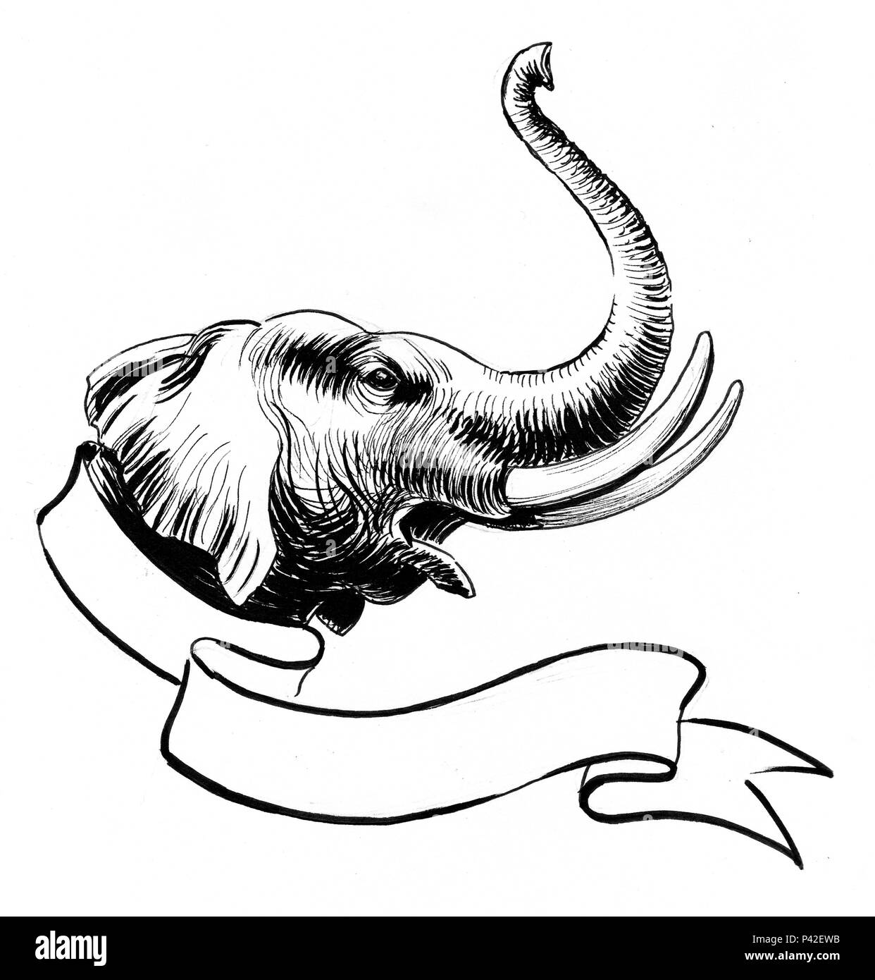 Tête d'éléphant et ouverture vierge. Illustration noir et blanc Encre Banque D'Images