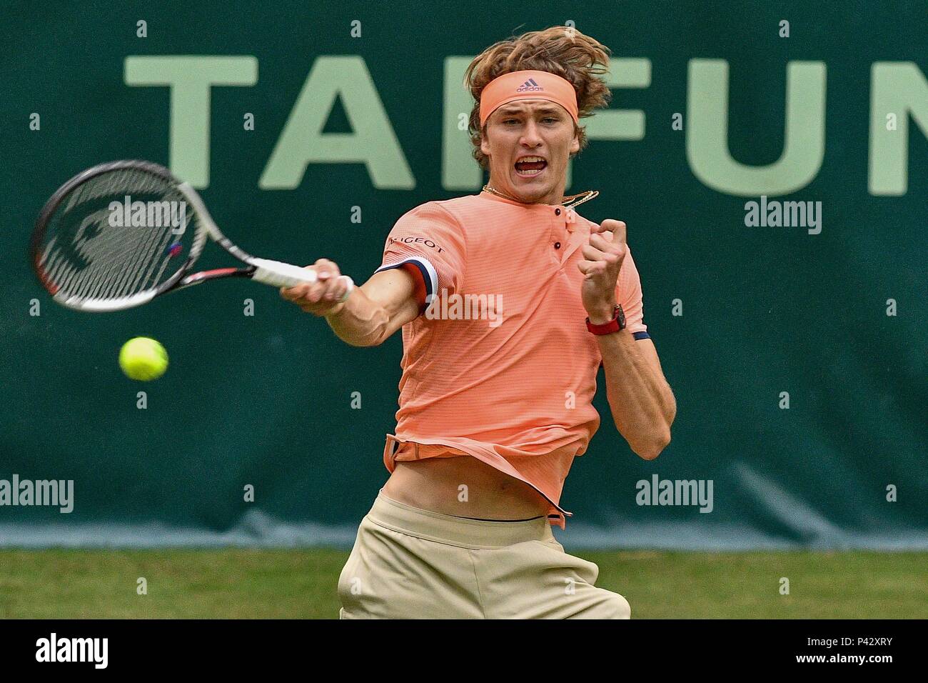 Halle, Allemagne. 20 juin 2018 Gerry Weber Stadium, Halle/Westphalie, GER, ATP World Tour 500, 26e événement Gerry Weber Open 2018 du 18.-24. Juin, photo Alexander Zverev (GER) à la bonne affaire Photo ©/nordphoto Mauelshagen | Conditions de crédit dans le monde entier : dpa/Alamy Live News Banque D'Images