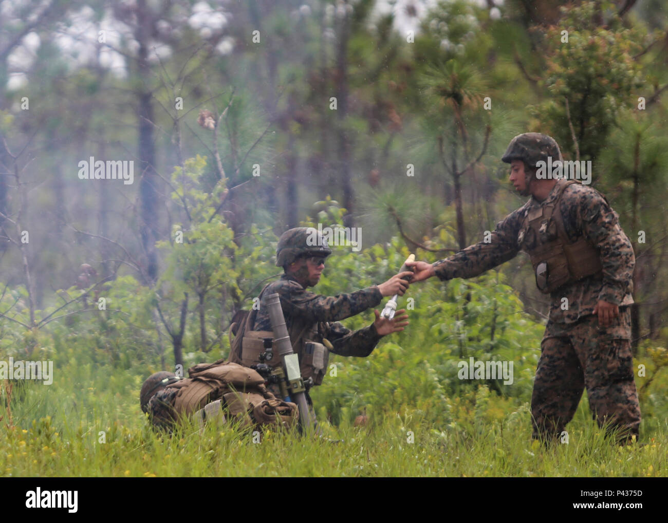 Un mortarman avec 1er Bataillon, 2e Régiment de Marines, 2e Division de marines, reçoit un prêt de mortier pendant un exercice d'entraînement à Camp Lejeune, N.C., 6 juin 2016. Mortier et de familiarisation des Marines a subi des compétences en vue de leur prochain déploiement à l'appui du Groupe de travail air-sol marin spécialisé. (U.S. Marine Corps photo par Lance Cpl. Aaron K. Fiala/libérés) Banque D'Images