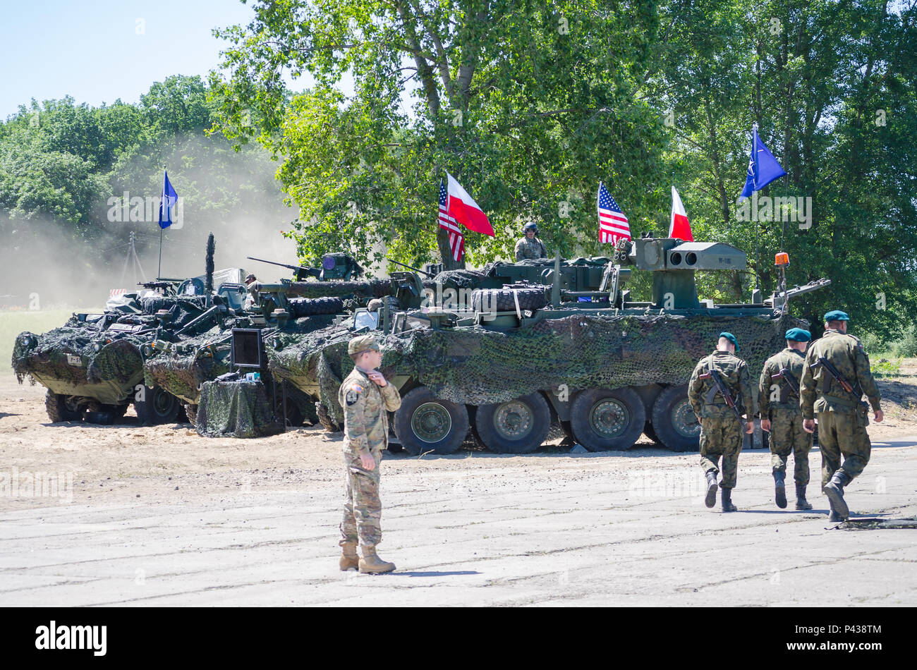 Les soldats de l'armée américaine stade M1126 Strykers en tant qu'écran lors d'une traversée de pont à Chelmno, en Pologne, le 7 juin 2016. La coordination des forces multinationales, assemblés, puis traversé un pont composé de l'allemand et britannique M3 Forage amphibie, permettant aux véhicules de traverser la Vistule, dans le cadre de l'exercice Anakonda 2016. L'exercice est dirigée par la Pologne une convention collective de l'effort de formation pour renforcer l'interopérabilité et de renforcer les liens entre l'OTAN et de pays partenaires, d'assurer la paix et la sécurité collective dans la région. Banque D'Images