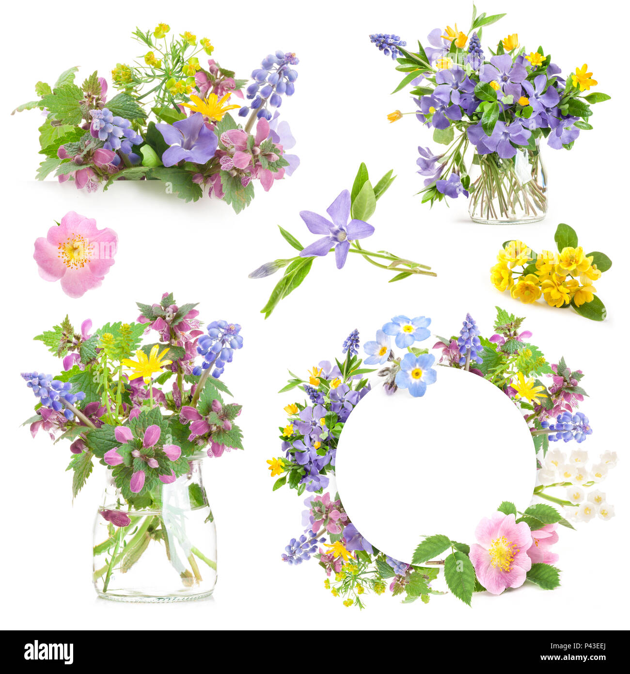 De Belles Fleurs De Printemps Sur Fond Blanc Carte De Vœux Romantique Copy Space Photo Stock Alamy De Belles Fleurs De Printemps Sur Fond Blanc Carte De Vœux Romantique Copy Space Photo Stock Alamy