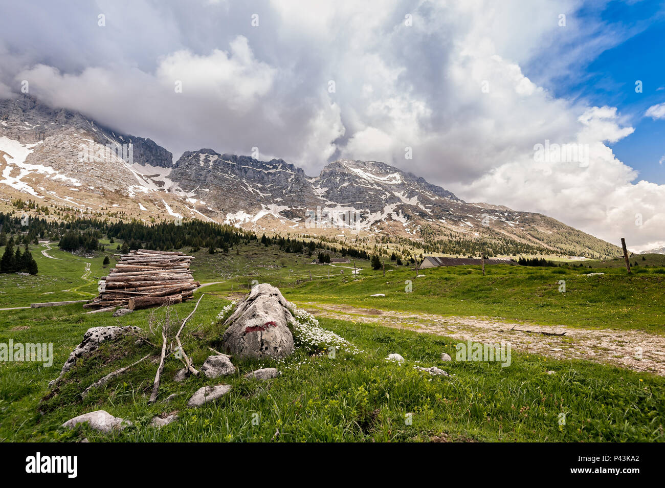 Paysage de montagnes. Plateau de Montasio, Alpes italiennes. Banque D'Images