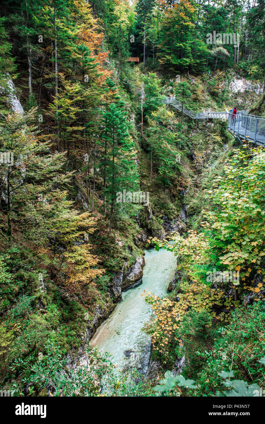 Leutaschklamm - gorge sauvage avec rivière dans les Alpes de l'Allemagne Banque D'Images