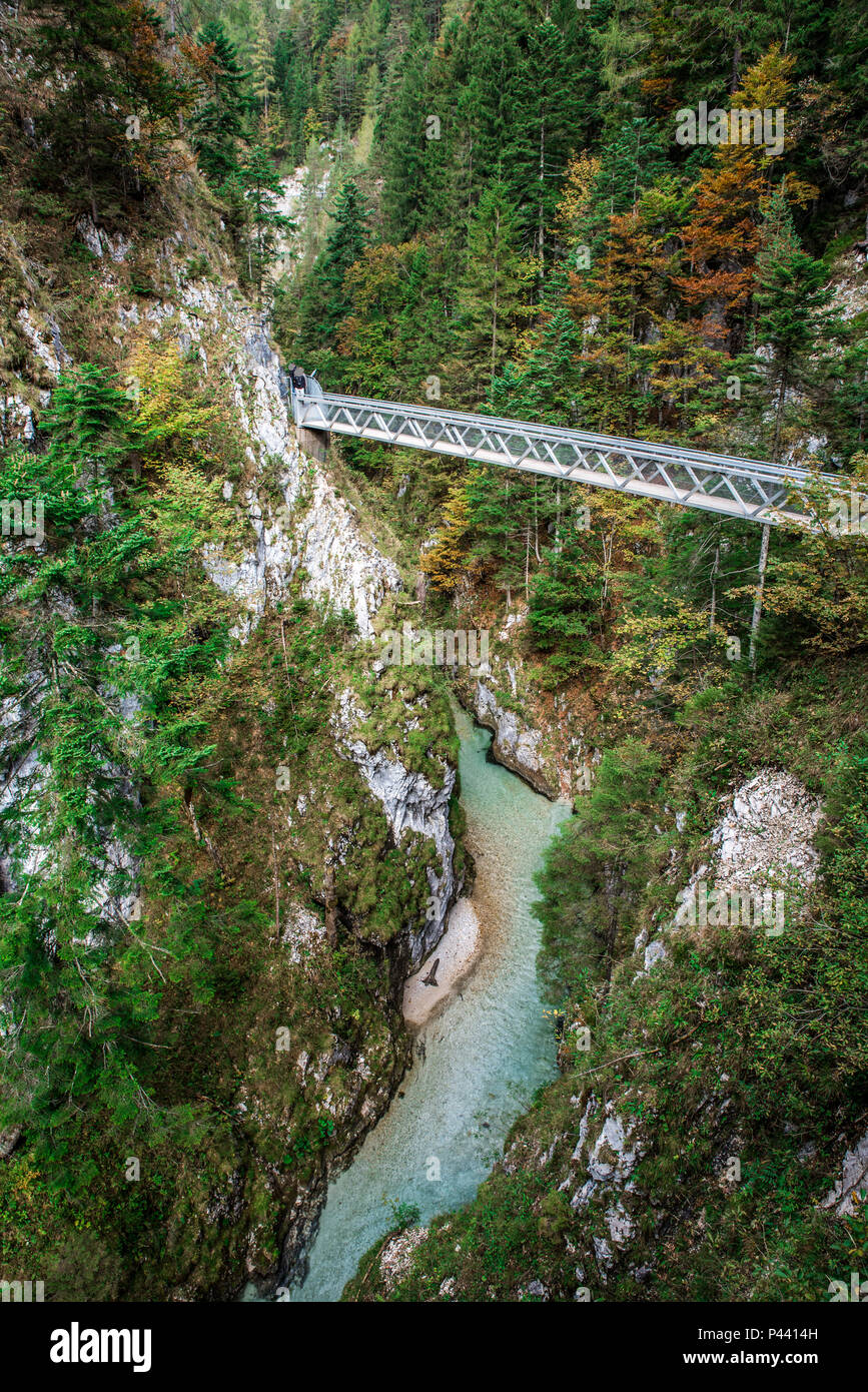 Leutaschklamm - gorge sauvage avec rivière dans les Alpes de l'Allemagne Banque D'Images