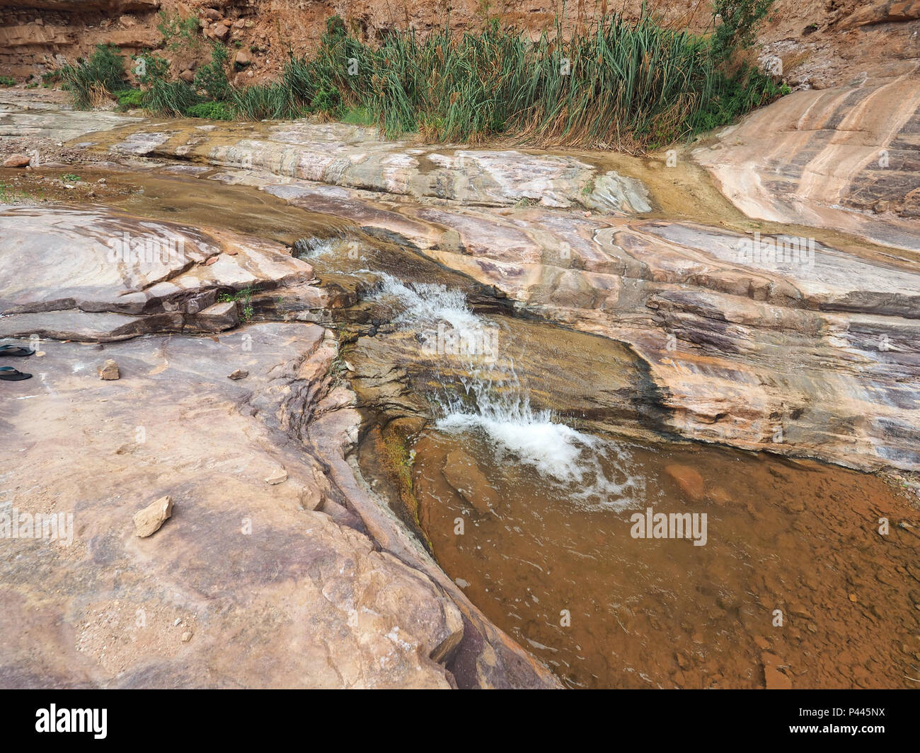 Ermite Creek dans le Parc National du Grand Canyon, Arizona. Banque D'Images