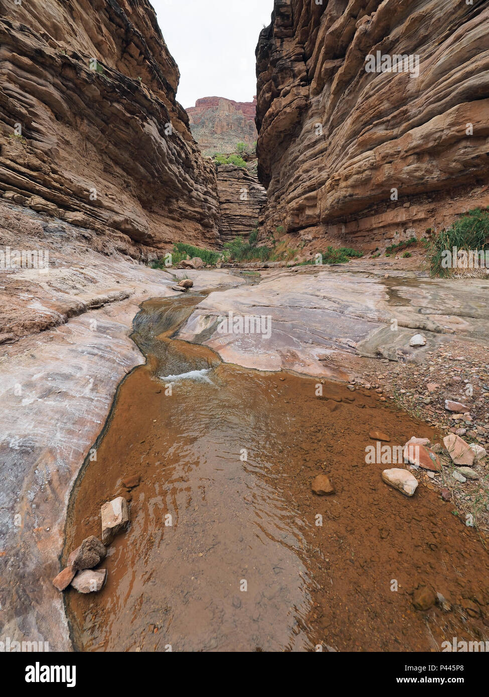 Ermite Creek dans le Parc National du Grand Canyon, Arizona. Banque D'Images