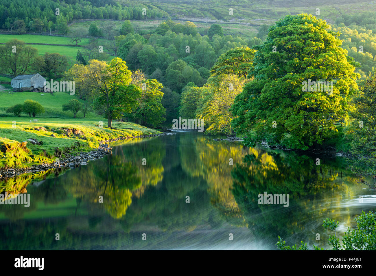Des images miroir sur l'eau et rivière arbres se reflétant sur une mer calme, pittoresque, encore, sur la rivière Wharfe soirée ensoleillée - Wharfedale, North Yorkshire, Angleterre, Royaume-Uni. Banque D'Images