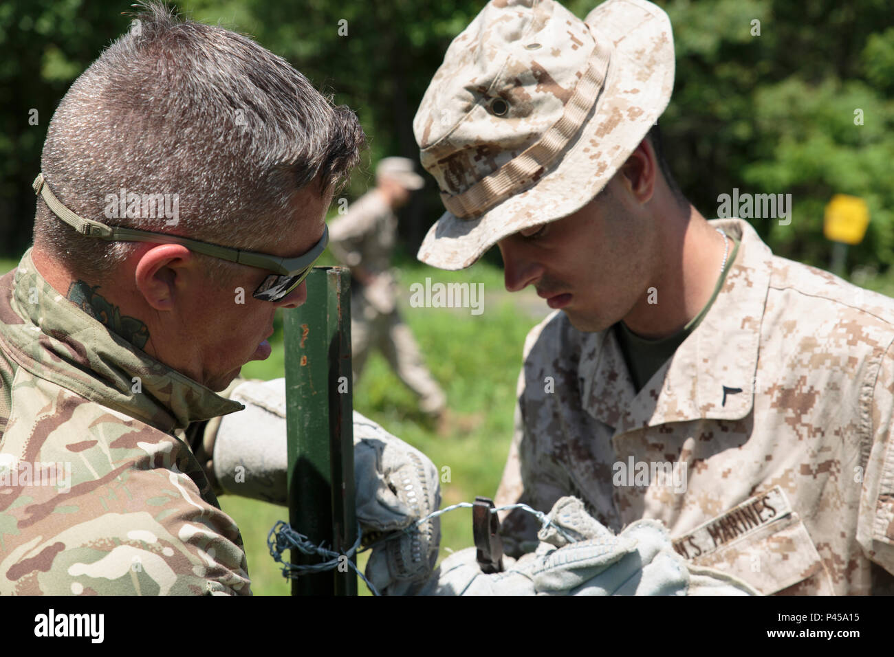 La FPC. Jacob D. Mays (à droite), ingénieur de combat avec l'entreprise C, 6e, 4e Bataillon d'appui du Groupe de la logistique maritime, Réserve des Forces maritimes, et le Cpl. Sean P. Bonne (à gauche), un caporal des communications avec 131 Escadron Commando des Royal Engineers, armée britannique, aider à construire un obstacle défensif pendant l'exercice Red Dagger à Fort Indiantown Gap, Penn., 13 juin 2016. Les ingénieurs de combat renforcer l'élan d'une force physique par l'élaboration de l'espace de combat pour améliorer l'utilisation d'une unité d'espace et de temps tout en refusant à l'ennemi sans mouvement. L'exercice Red poignard est un exercice d'entraînement bilatéral qui donne Banque D'Images