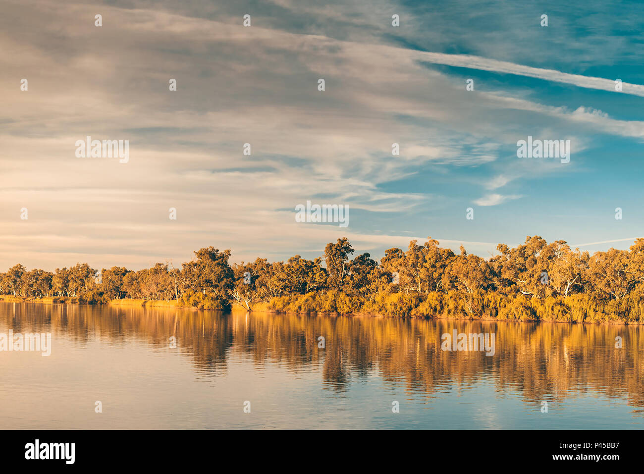 Murray River au coucher du soleil, Riverland, Australie du Sud Banque D'Images