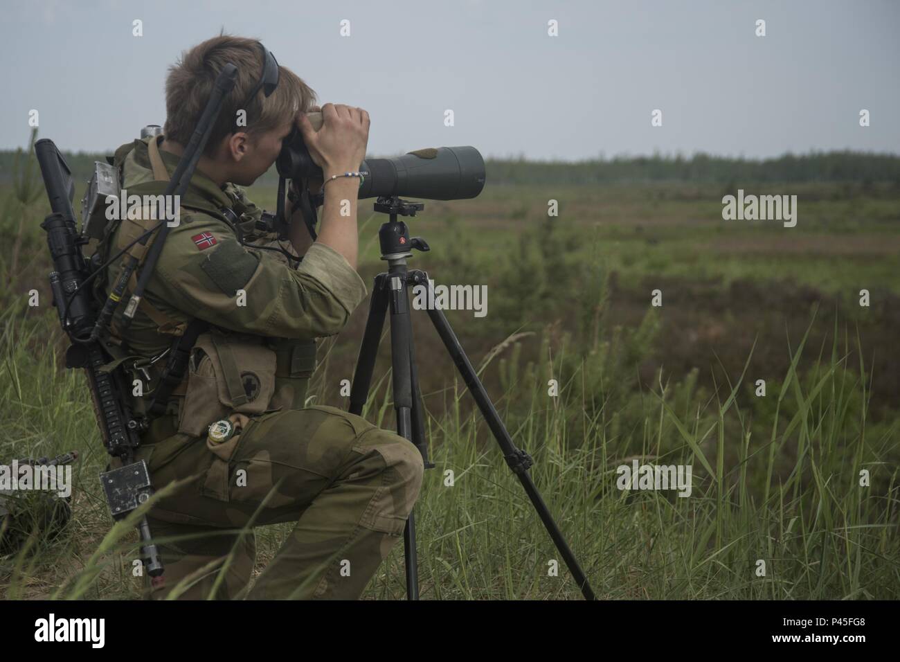 Un soldat norvégien avec 2e Bataillon recherche les cibles à partir d'un observationpost dans le cadre de l'exercice grève 18 Sabre, le 4 juin 2018, zone d'entraînement de Adazi, Lettonie, grève 18 Sabre est la huitième édition de l'Américain de longue date-ArmyEurope ont conduit la formation coopérative exercice conçu pour enhanceinteroperability entre les alliés et les partenaires régionaux, le 4 juin 2018. L'exercice de cette année, prévue du 3 au 15 juin, l'accent sur l'amélioration des capacités de la terre et airoperational avec un autre objectif clé de former avec l'OTAN'Sprésence avancée améliorée (PEF) groupements tactiques. Les groupements tactiques de l'eFP Banque D'Images