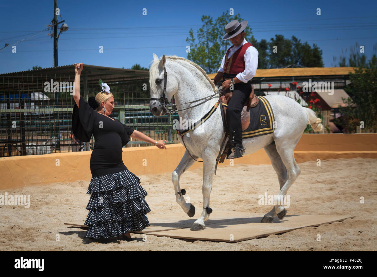 L'Espagnol de Flamenco avec cheval et danseuse Banque D'Images