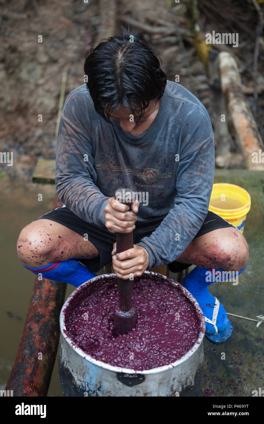 Madeireiro fazendo açai. Selva Peruana. Foto : Fellipe Abreu / Fotoarena Banque D'Images