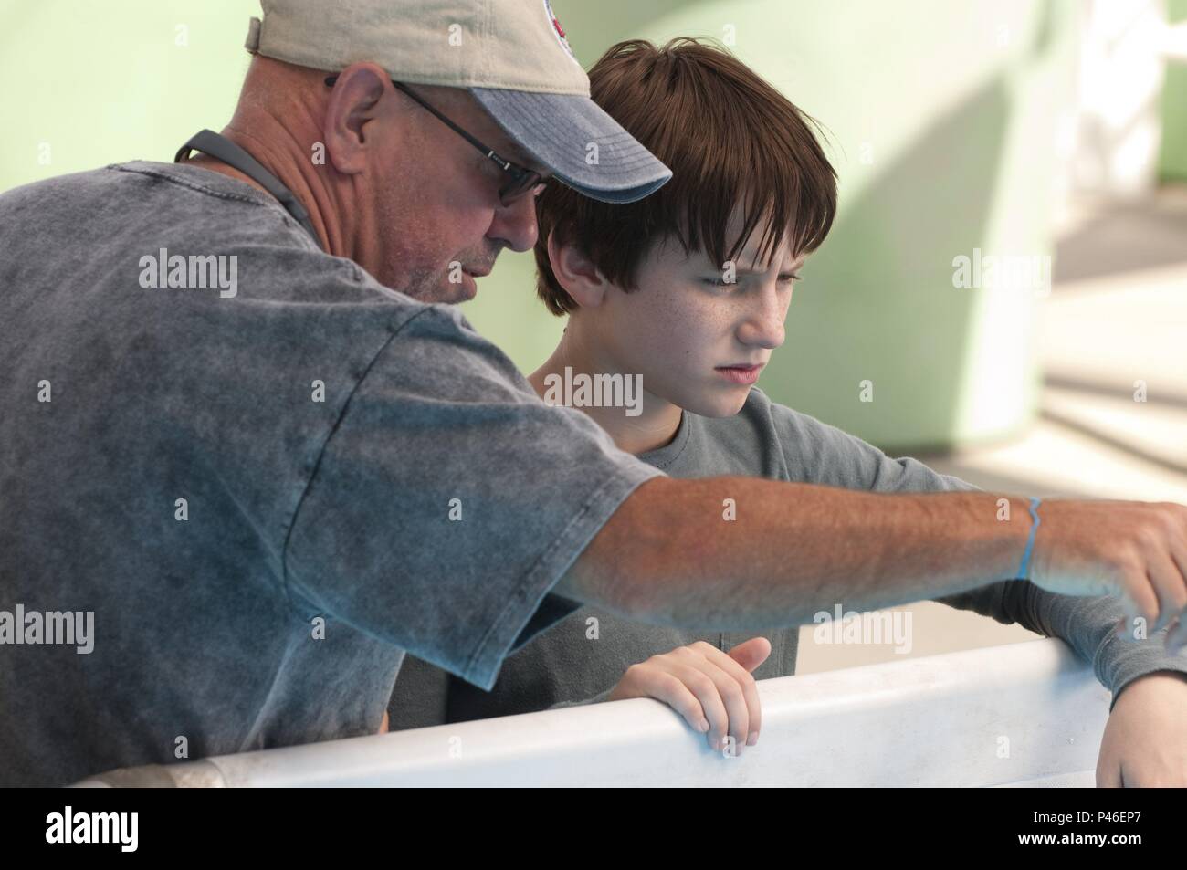 Titre original : DOLPHIN TALE. Titre en anglais : DOLPHIN TALE. Film Réalisateur : CHARLES MARTIN SMITH. Année : 2011. Stars : CHARLES MARTIN SMITH ; NATHAN GAMBLE. Credit : ALCON ENTERTAIMENT / Album Banque D'Images