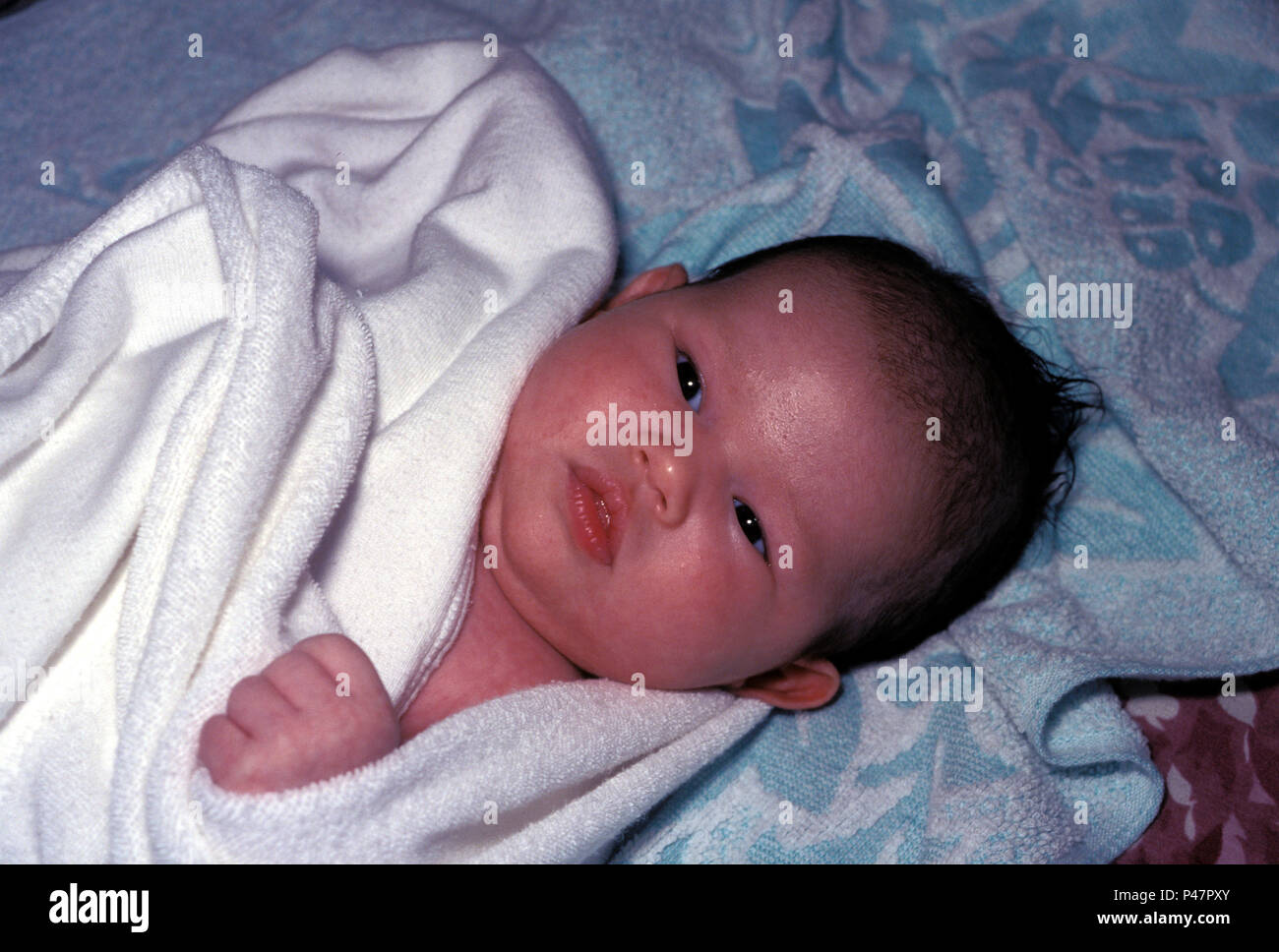 Pas Personnes Enfant Femelle Bebe Eurasien Deux Mois Photo Stock Alamy