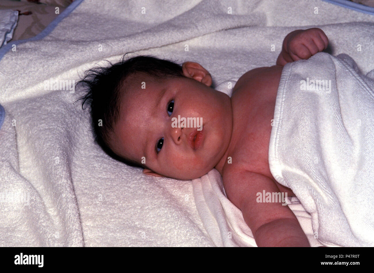 Pas Personnes Enfant Femelle Bebe Eurasien Deux Mois Photo Stock Alamy