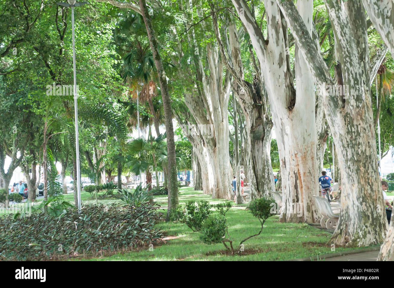 Campo Belo Minas Gerais fonte: c8.alamy.com