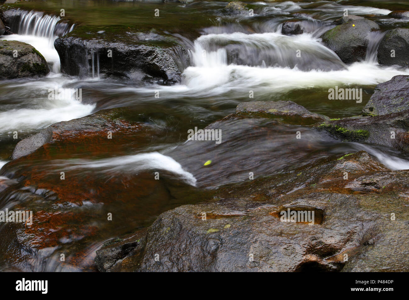 L'eau qui coule sur les rochers en stream Banque D'Images